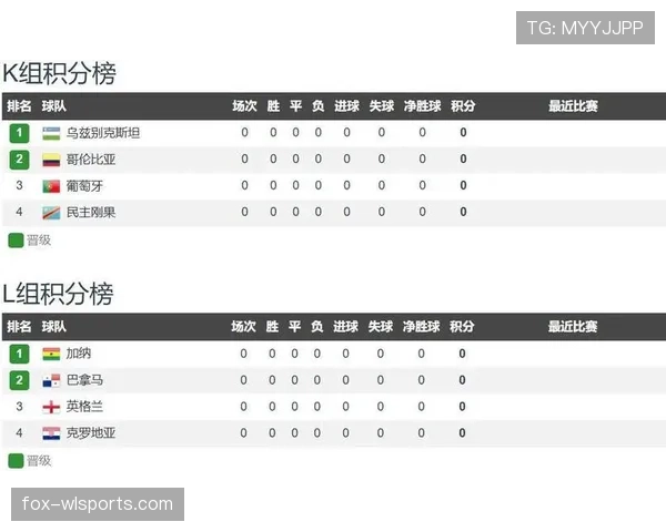 加纳队小组赛数据：进球、积分与排名整理